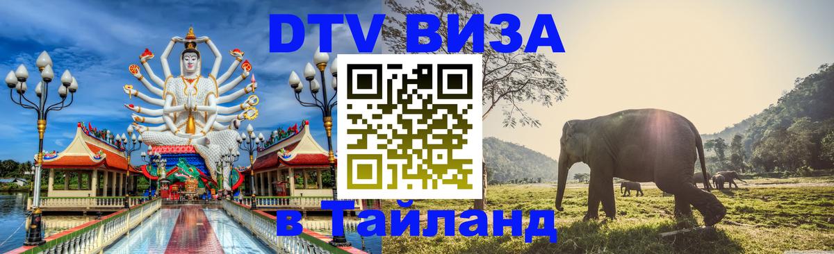 Оформление DTV визы под ключ: стоимость и тарифы, только загранпаспорт - Бердск 